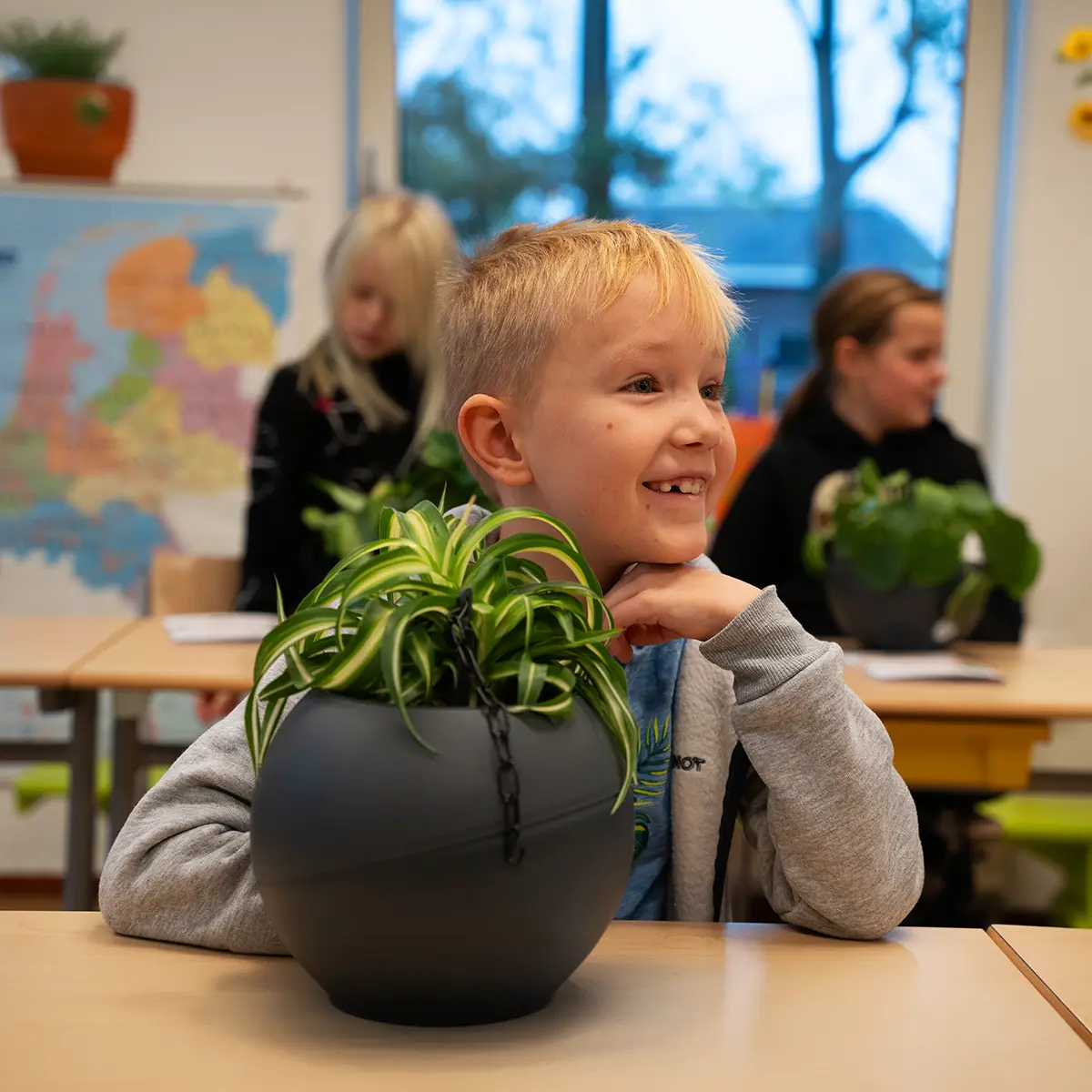 GreenBee Foundation PFFH Plants Classrooms feature