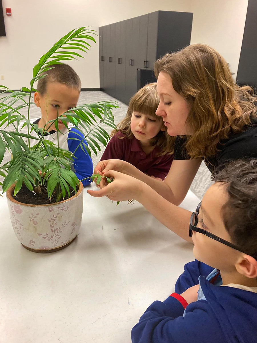 Plant in Classroom by mtzionchristianschool7