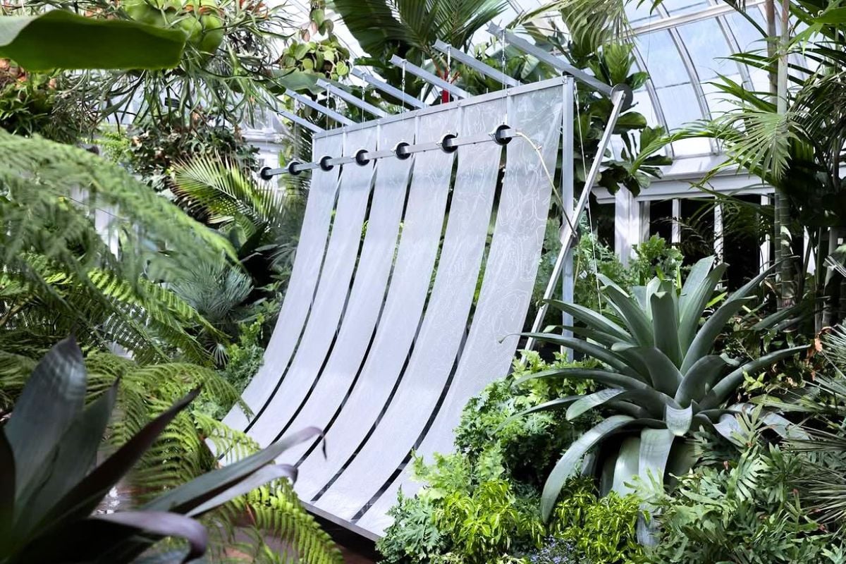 Etched metal surface for plant growth