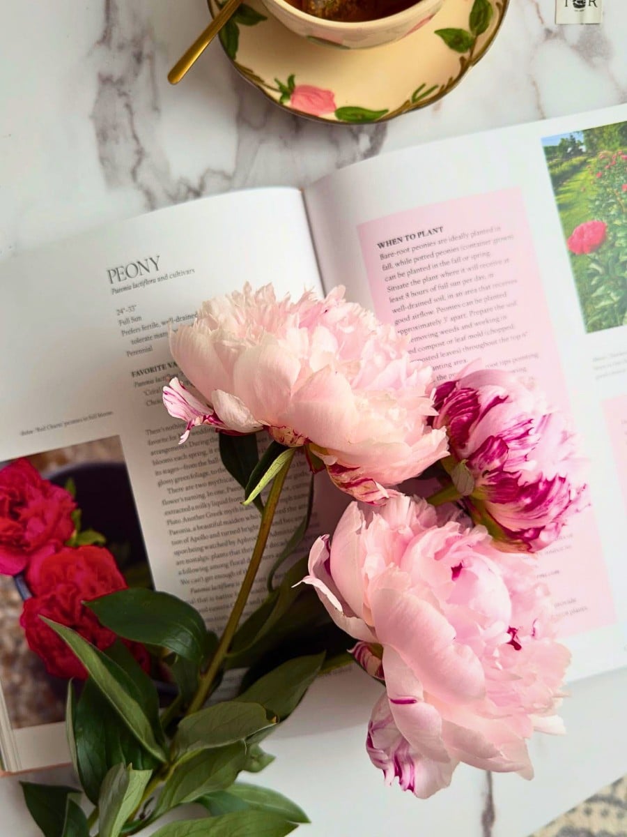 Why Do Flowers Appear in Literature?