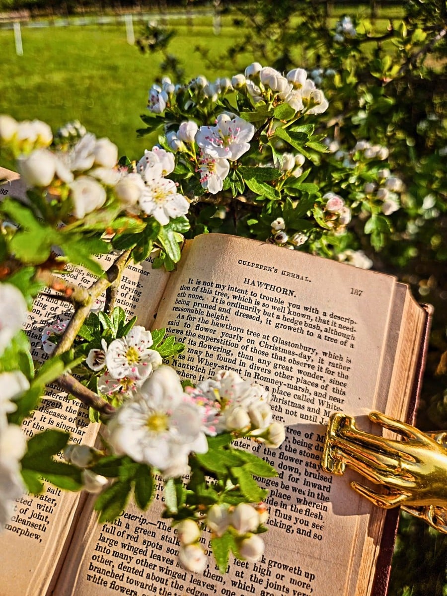 Why Do Flowers Appear in Literature?
