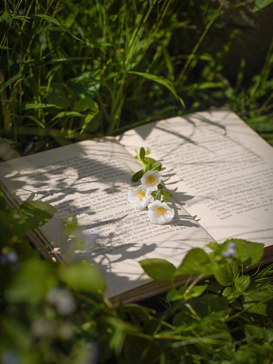 Why Do Flowers Appear in Literature?