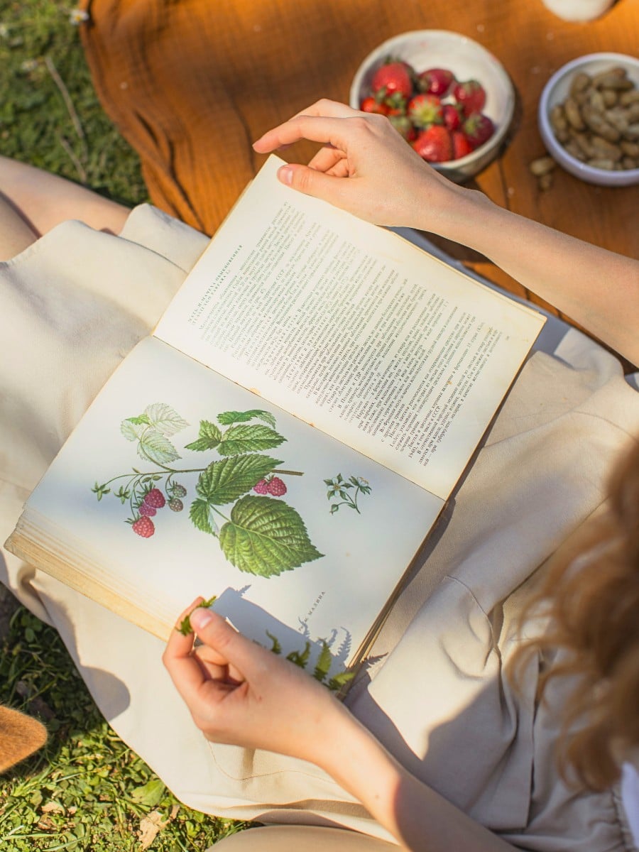 Why Do Flowers Appear in Literature?