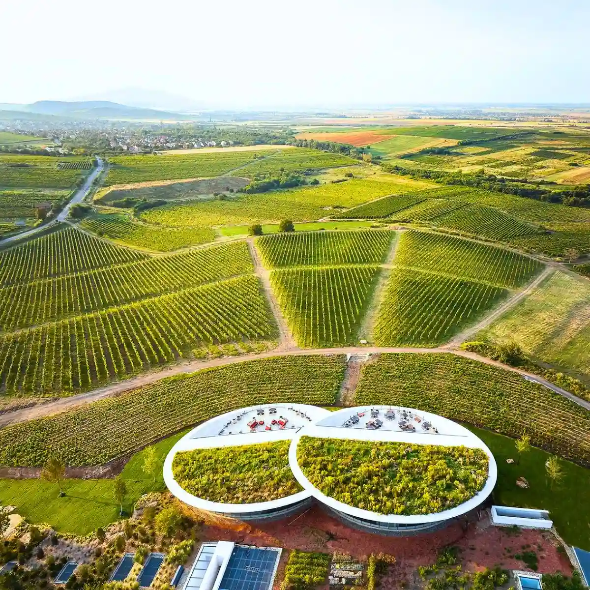 Sauska Tokaj winery