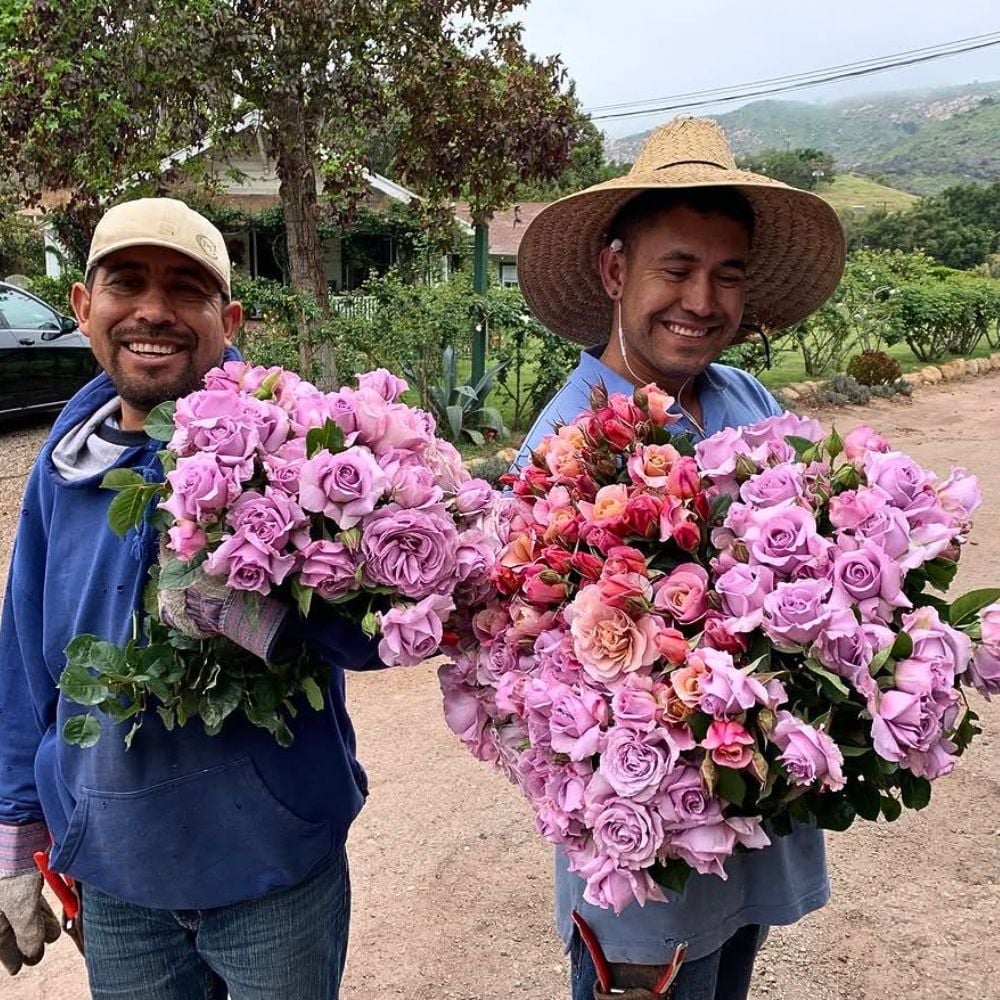 Boutique Flower Farms 