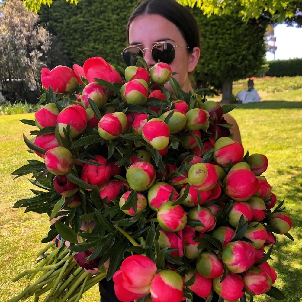 Bouquet Flower Farms