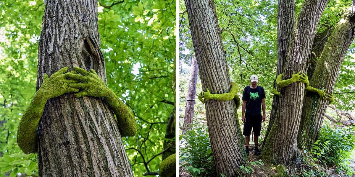 Monsieur Plants installation hugging a tree