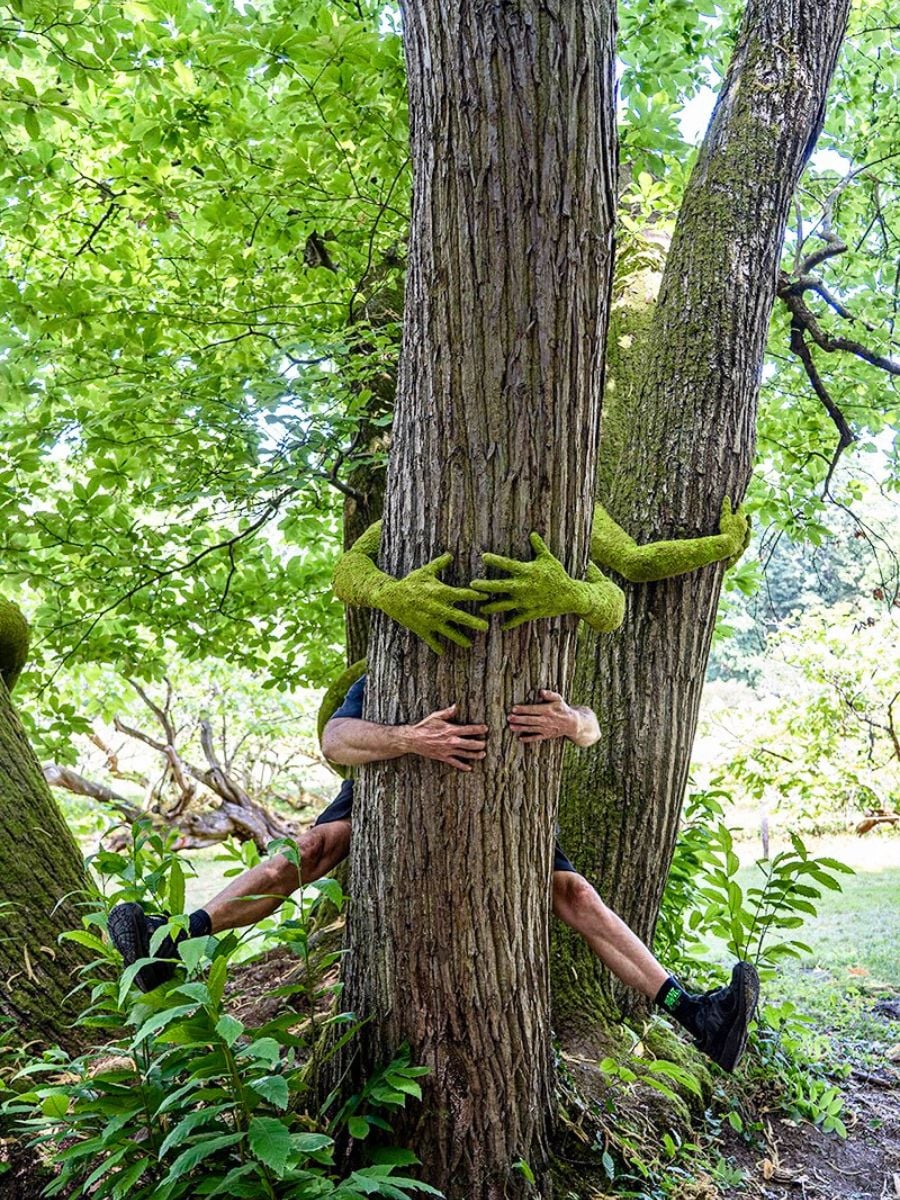 Monsieur plant hugging a tree