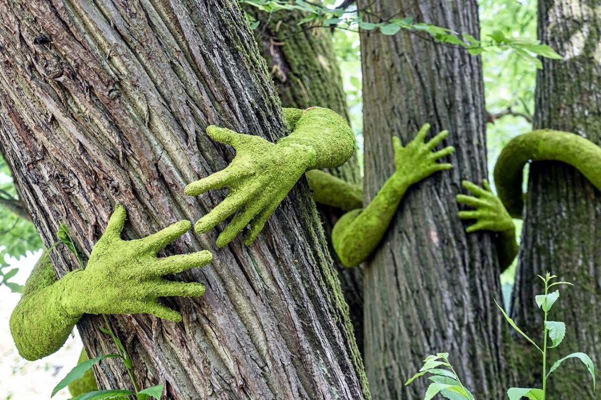 Green hands like grass hugging trees