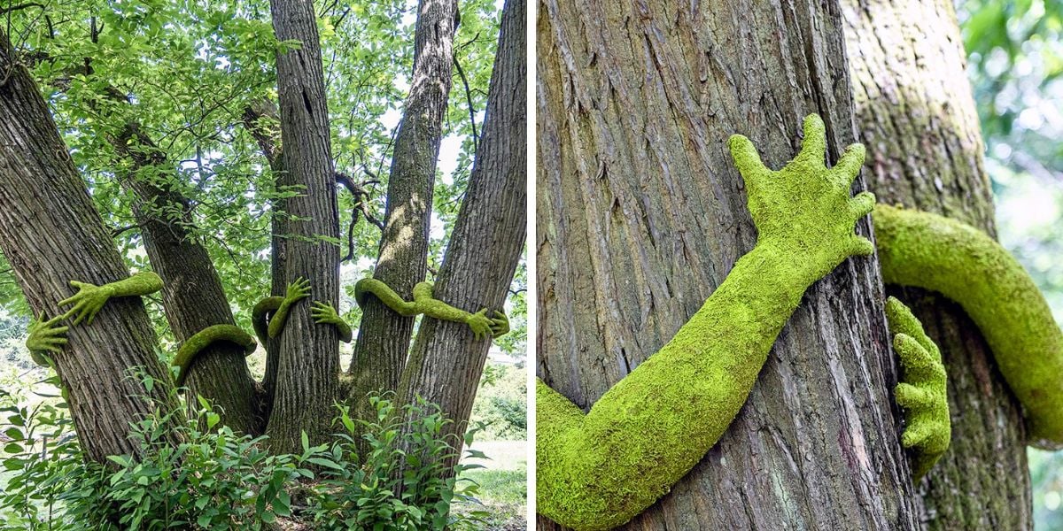 Zoom of the green hands hugging trees