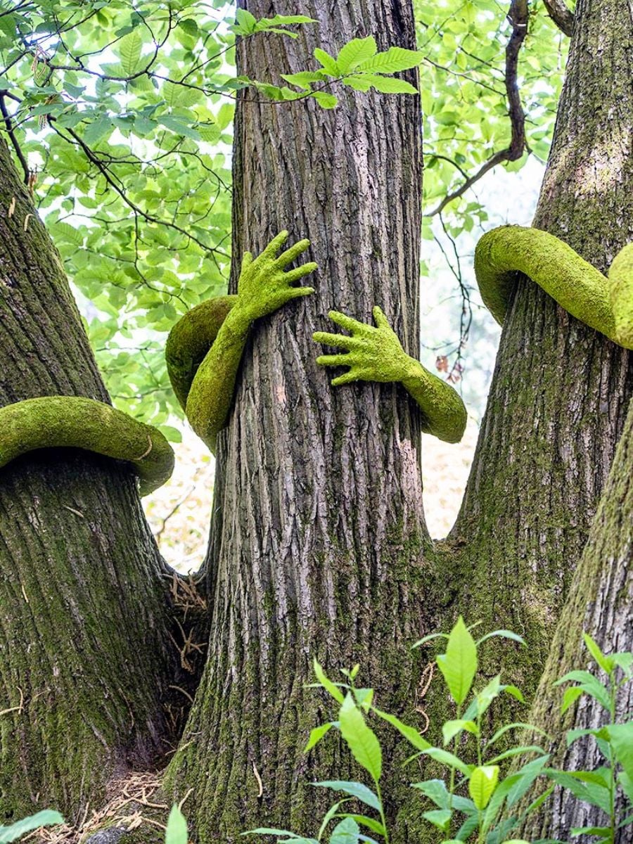 Details of trees and green arms