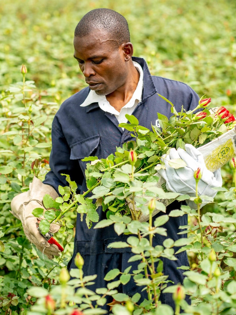 Fairtrade Is More Than a Label &mdash; It Is a Framework for Fair Wages and Dignity