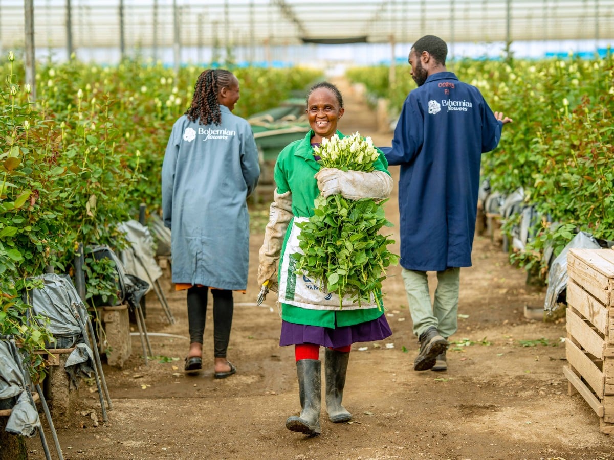 What Does Fair Really Mean? Inside Fairtrade's Impact on Africa's Flower Sector