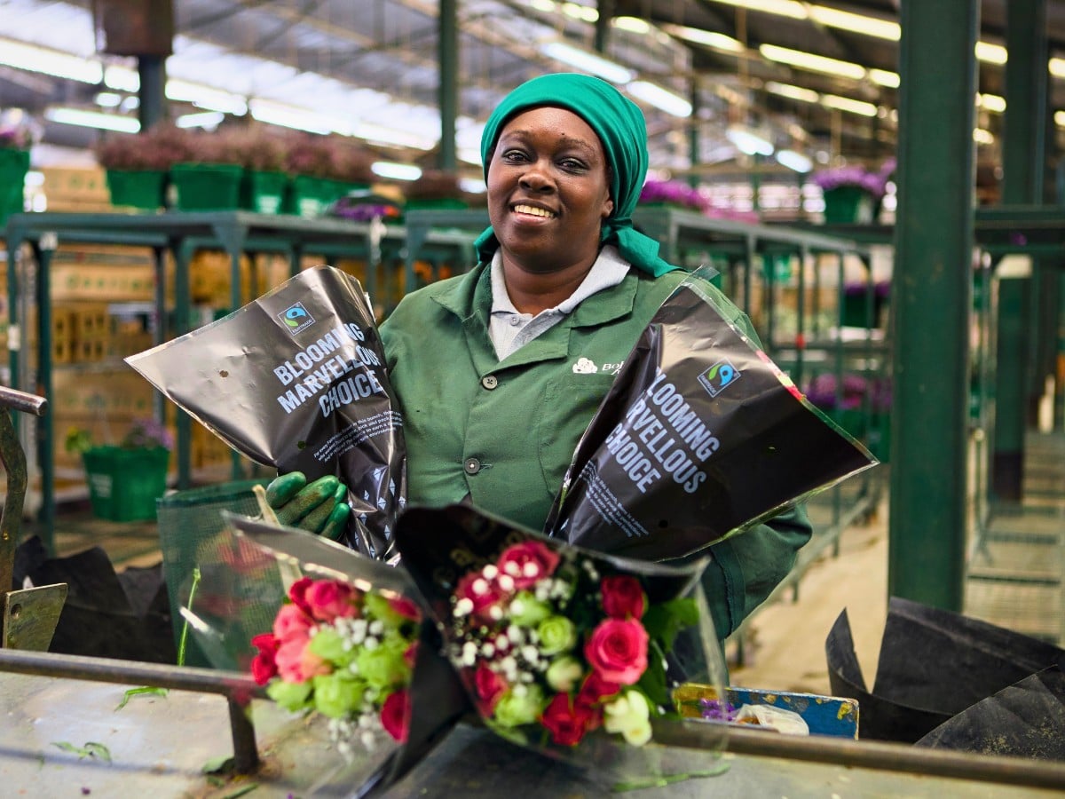 What Does Fair Really Mean? Inside Fairtrade's Impact on Africa's Flower Sector