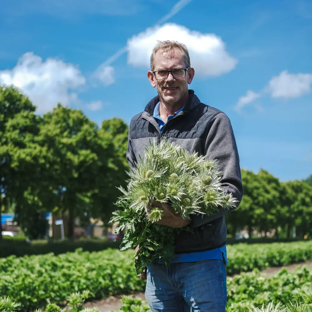 Kroon Flowers grower on Thursd feature