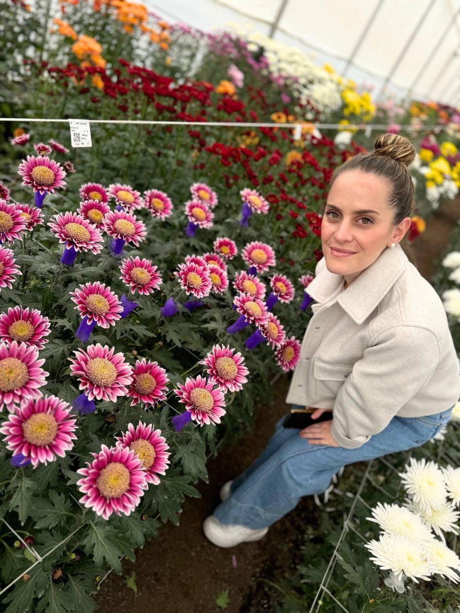 Melissa at chrysanthemum week in Medellin
