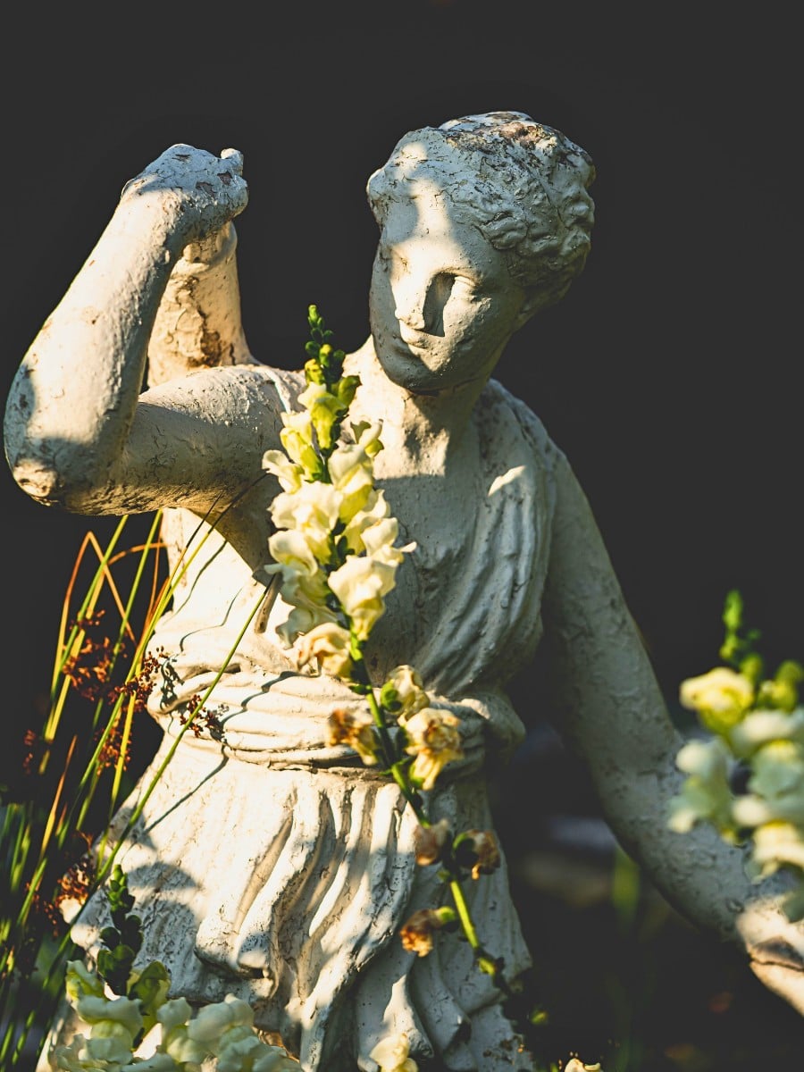 Flowers in Greek Mythology: These Flower and Plant Names Originate in Greek Mythology