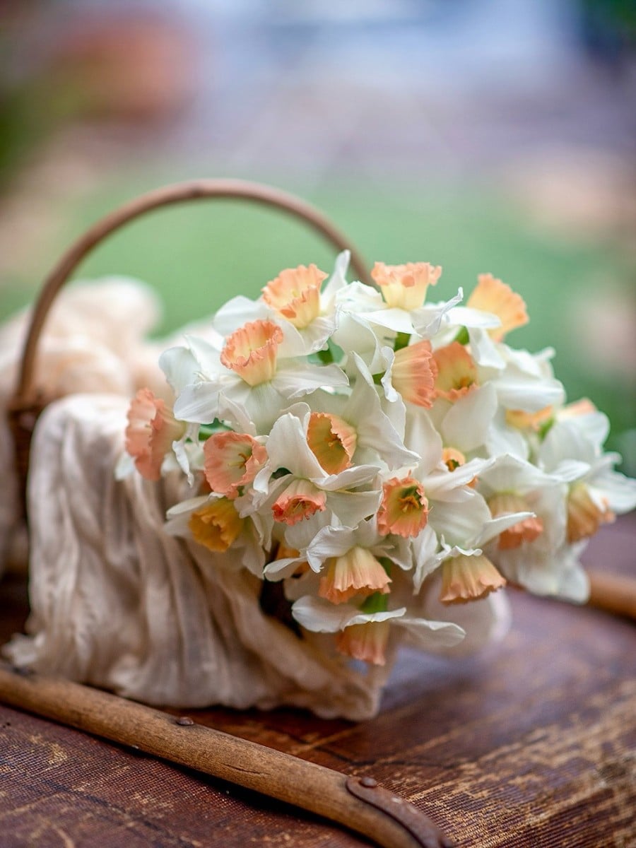 Flowers in Greek Mythology: These Flower and Plant Names Originate in Greek Mythology