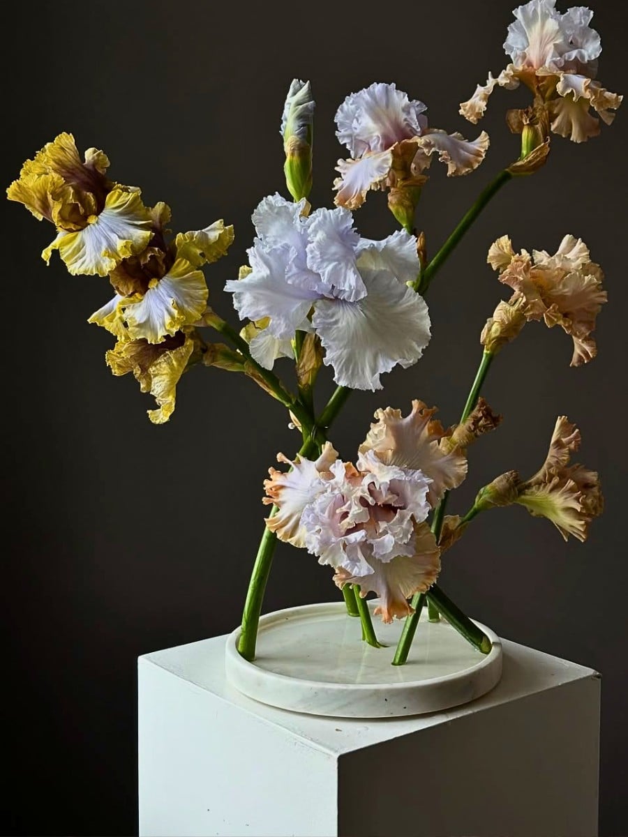 Flowers in Greek Mythology - These Are Some of the Best Floral Myths