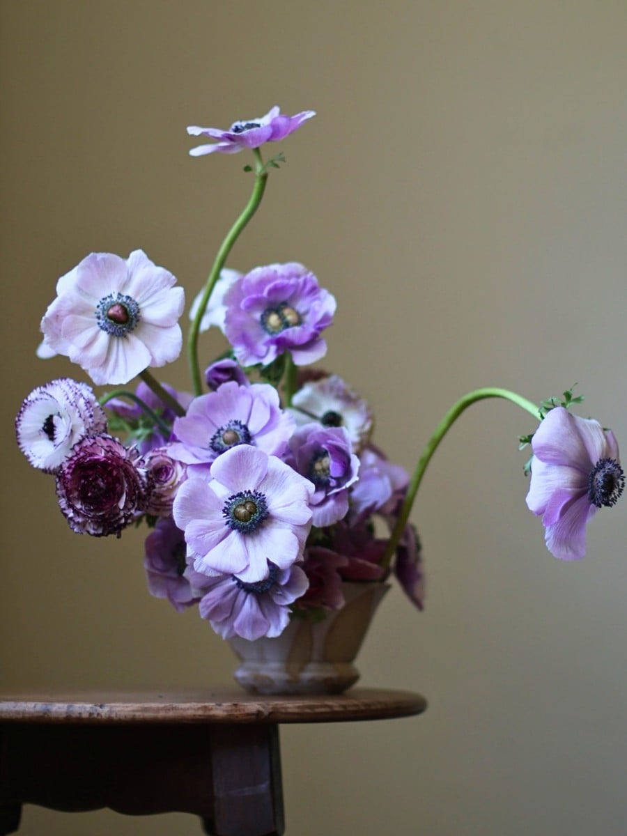Flowers in Greek Mythology: These Flower and Plant Names Originate in Greek Mythology
