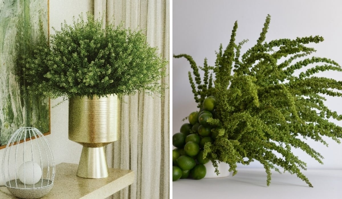 Why Danziger's Green Flowers Are Becoming a New Language in Modern Floral Design