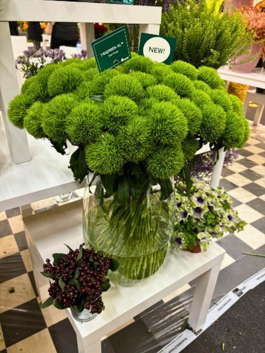 Why Danziger's Green Flowers Are Becoming a New Language in Modern Floral Design