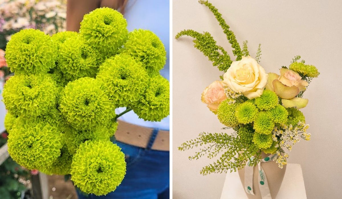 Why Danziger's Green Flowers Are Becoming a New Language in Modern Floral Design