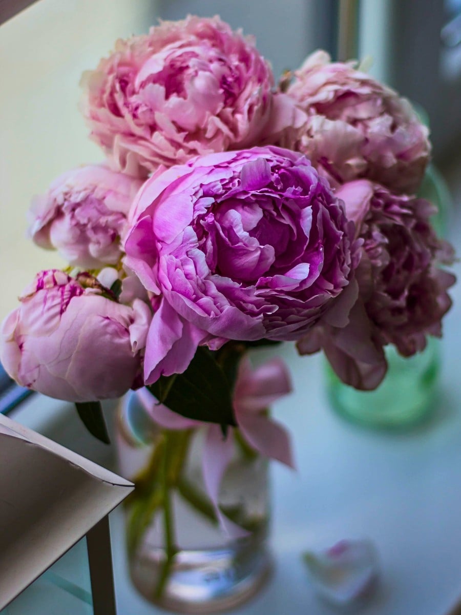 Flowers in Greek Mythology - These Are Some of the Best Floral Myths