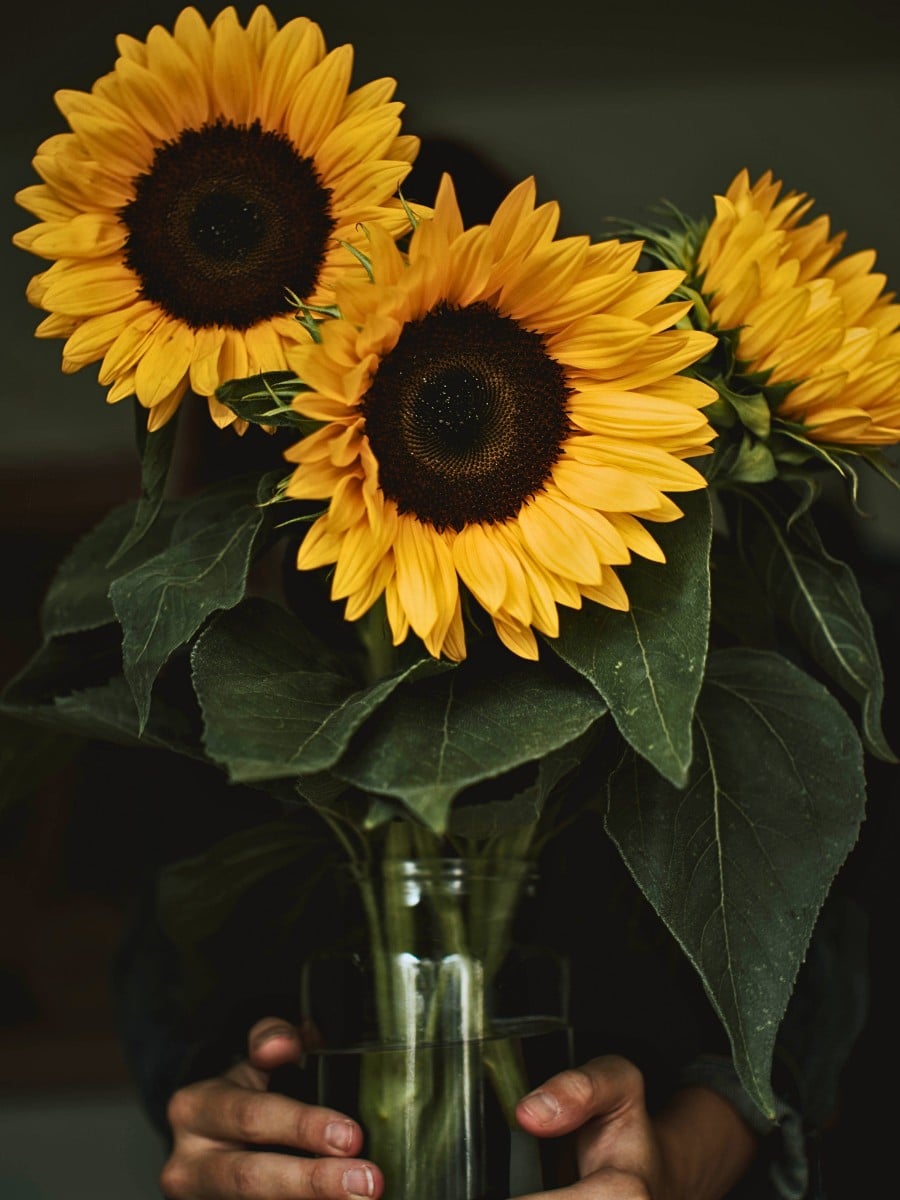 Flowers in Greek Mythology: These Flower and Plant Names Originate in Greek Mythology