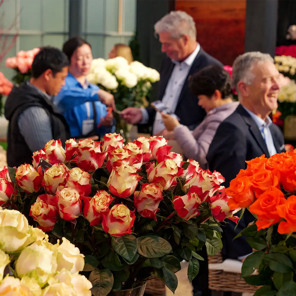 Floral World Will Meet IFTF 2026