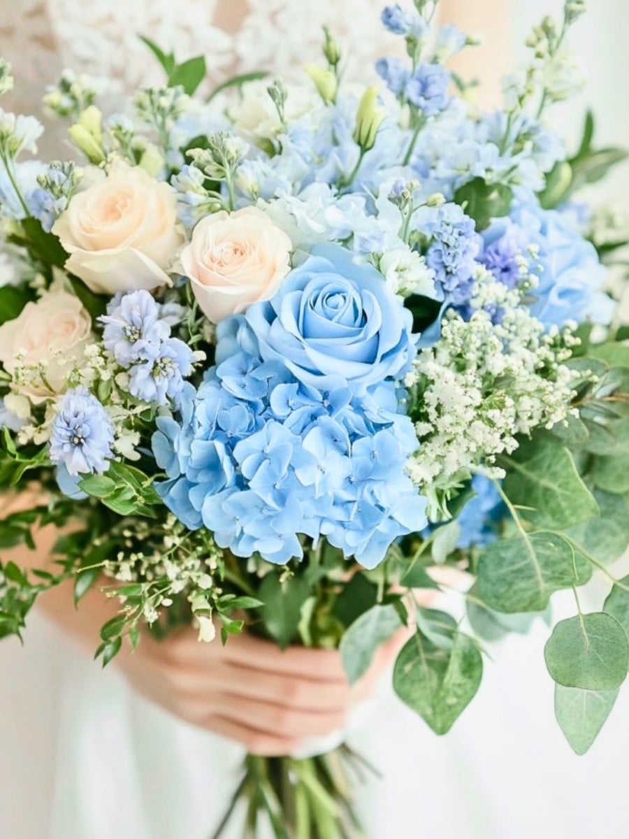 Desde la moda y el diseño de interiores hasta el arte y la naturaleza, los colores pastel han tenido un impacto notable, inspirando la creatividad.