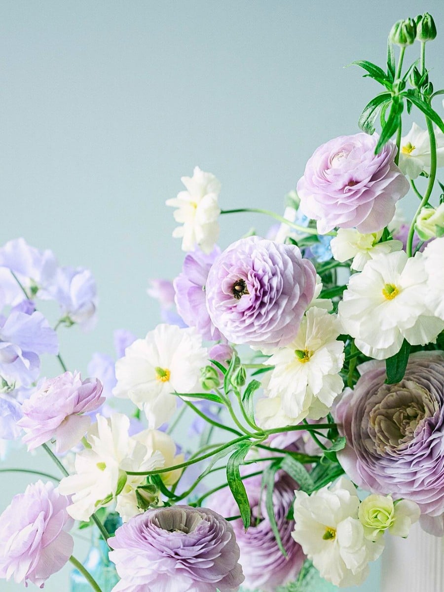 Desde la moda y el diseño de interiores hasta el arte y la naturaleza, los colores pastel han tenido un impacto notable, inspirando la creatividad.