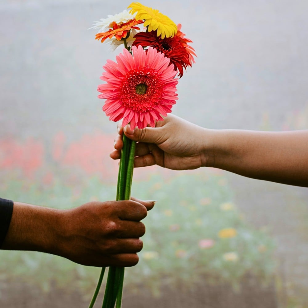 Why Do People Give Flowers as Gifts?