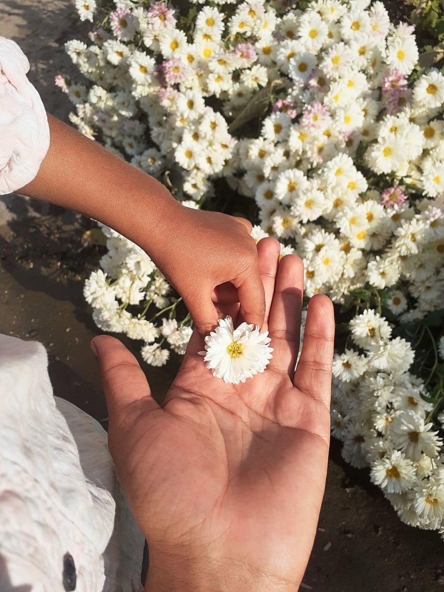 Why Do People Give Flowers as Gifts?