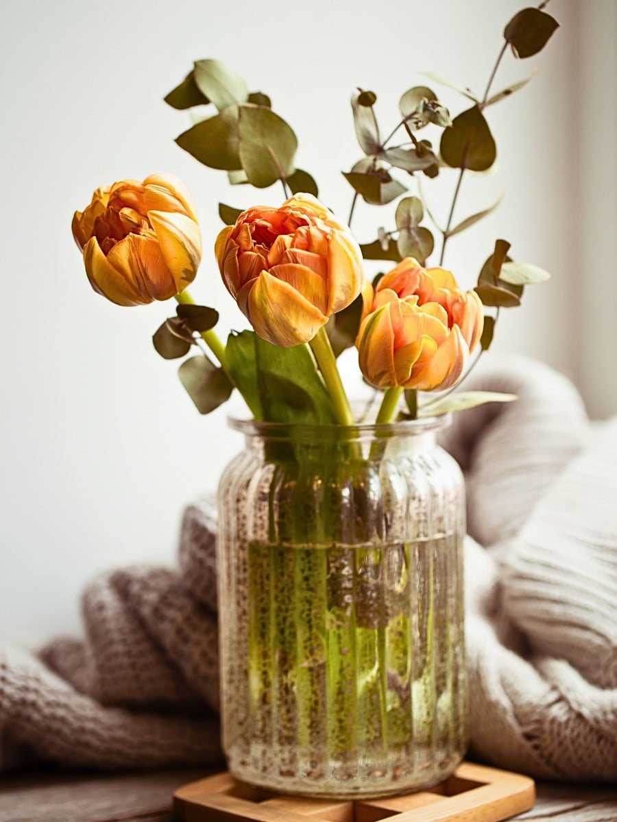 Why Do Flowers Wilt Faster in Warm Weather?
