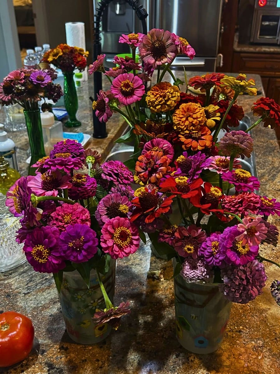 Why Do Flowers Wilt Faster in Warm Weather?