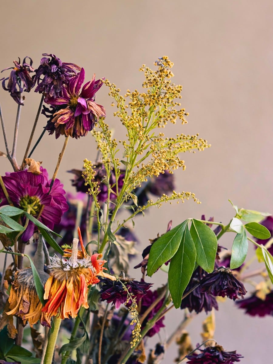 Why Do Flowers Wilt Faster in Warm Weather?