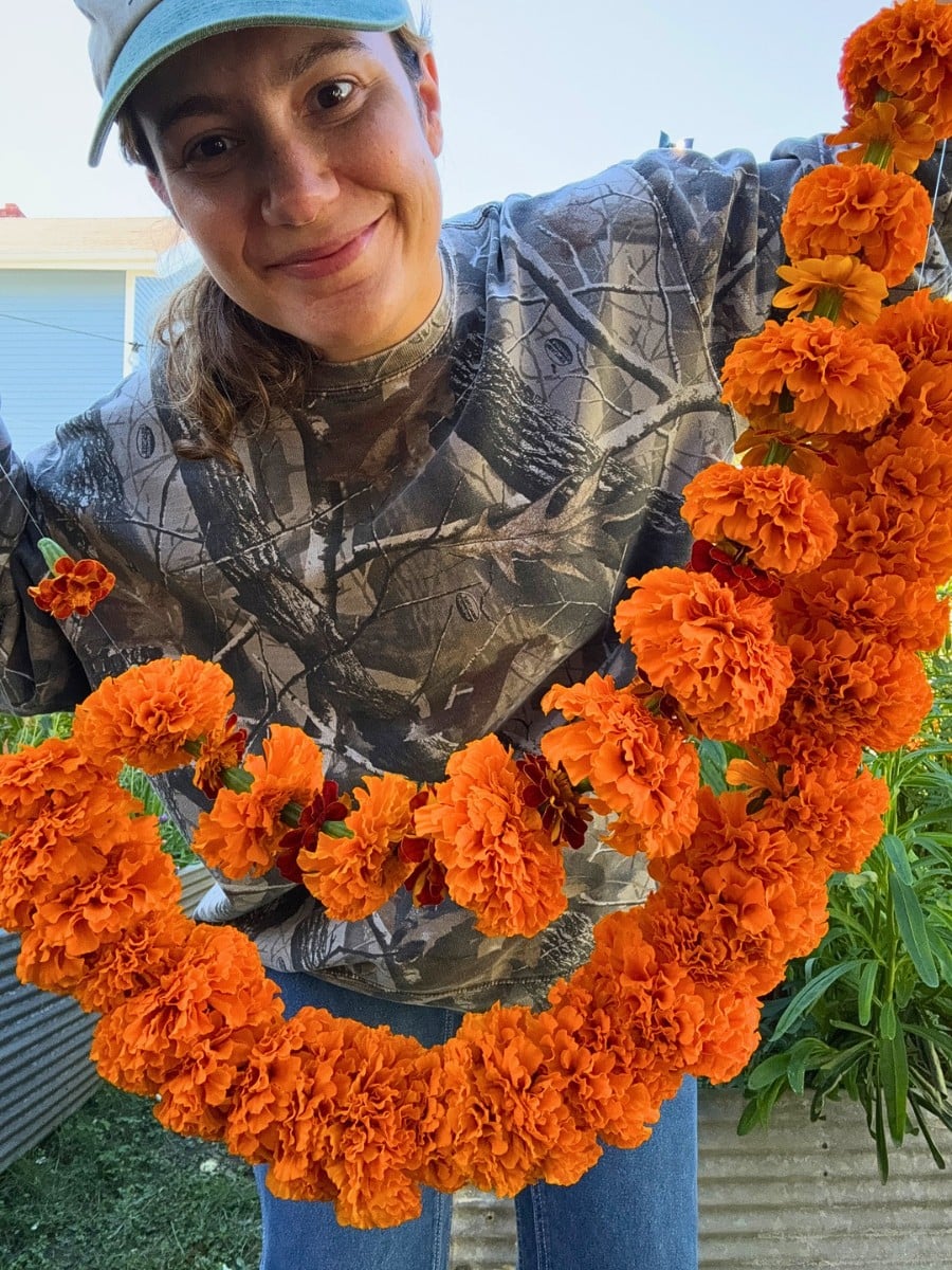 Para los Leo, las flores son más que una simple decoración. Son una extensión de su personalidad. Los girasoles, las caléndulas, las dalias, Hibiscus, las orquídeas, las bocas de dragón y las calas capturan la esencia de la naturaleza apasionada, generosa y carismática de Leo —Artículo Thursd 