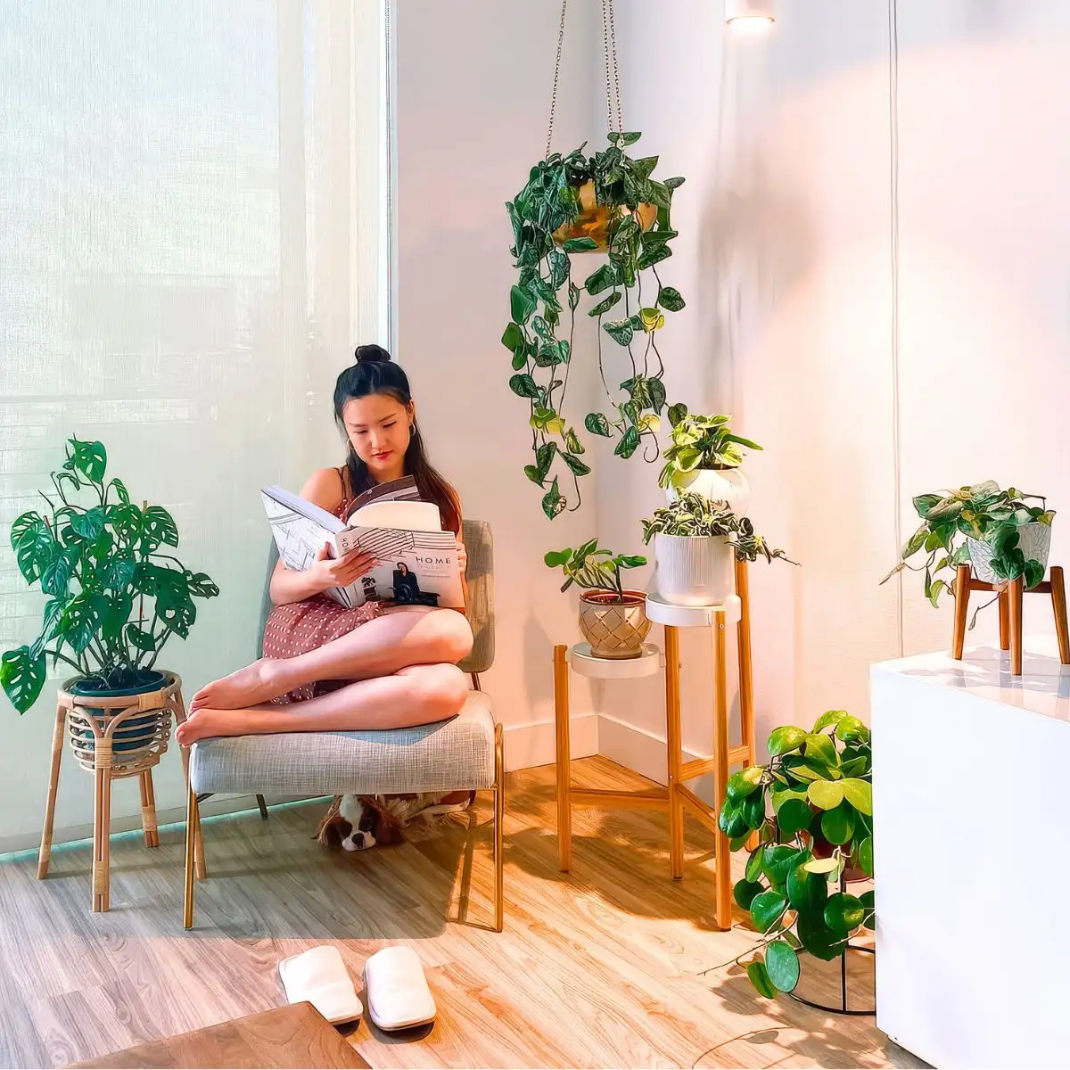 Feng Shui living room