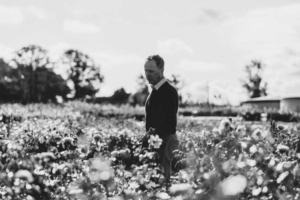 David Austin of David Austin Roses
