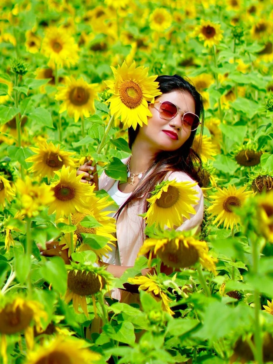 Los girasoles y las caléndulas son las flores de Leo que simbolizan este signo del zodiaco