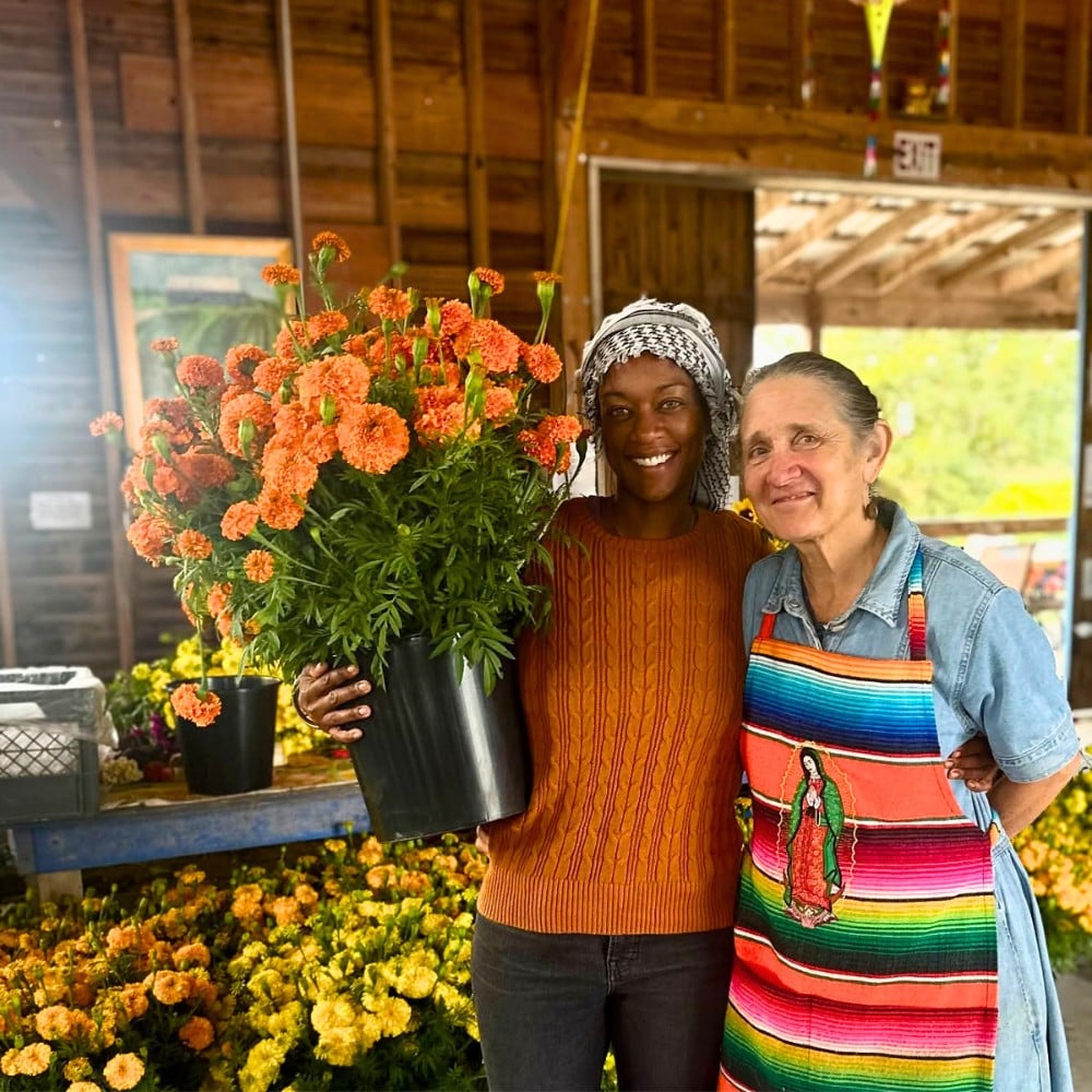 Para los Leo, las flores son más que una simple decoración. Son una extensión de su personalidad. Los girasoles, las caléndulas, las dalias, Hibiscus, las orquídeas, las bocas de dragón y las calas capturan la esencia de la naturaleza apasionada, generosa y carismática de Leo —Artículo Thursd 