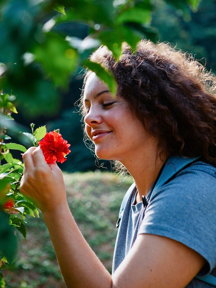 Origin and Evolution of Flowers and by Nature&rsquo;s Sense, Why Do They Exist?