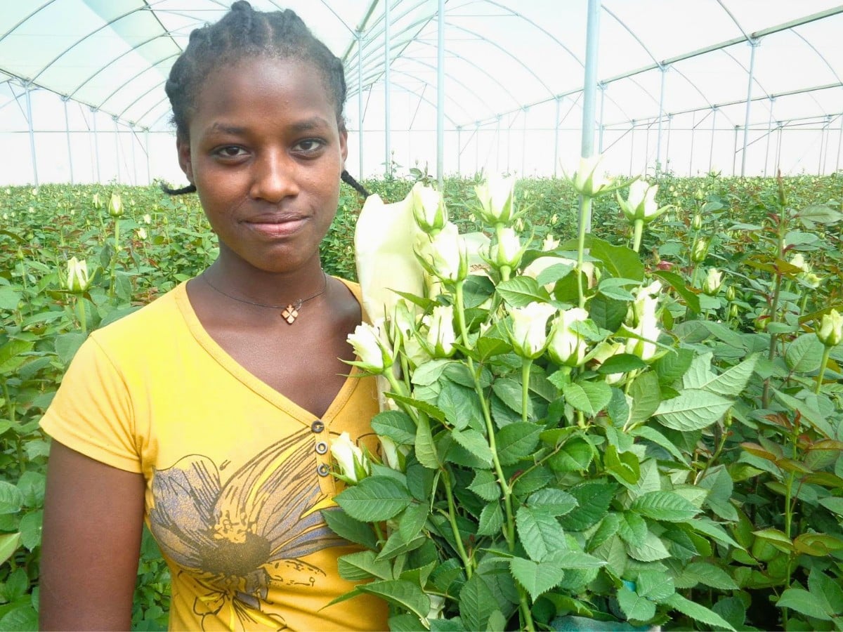 How the Ethiopian Horticulture Producer Exporters Association (EHPEA) Promotes Community Development Initiatives Around Ethiopian Flower Farming Clusters