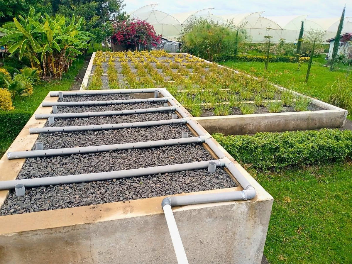 How the Ethiopian Horticulture Producer Exporters Association (EHPEA) Promotes Community Development Initiatives Around Ethiopian Flower Farming Clusters