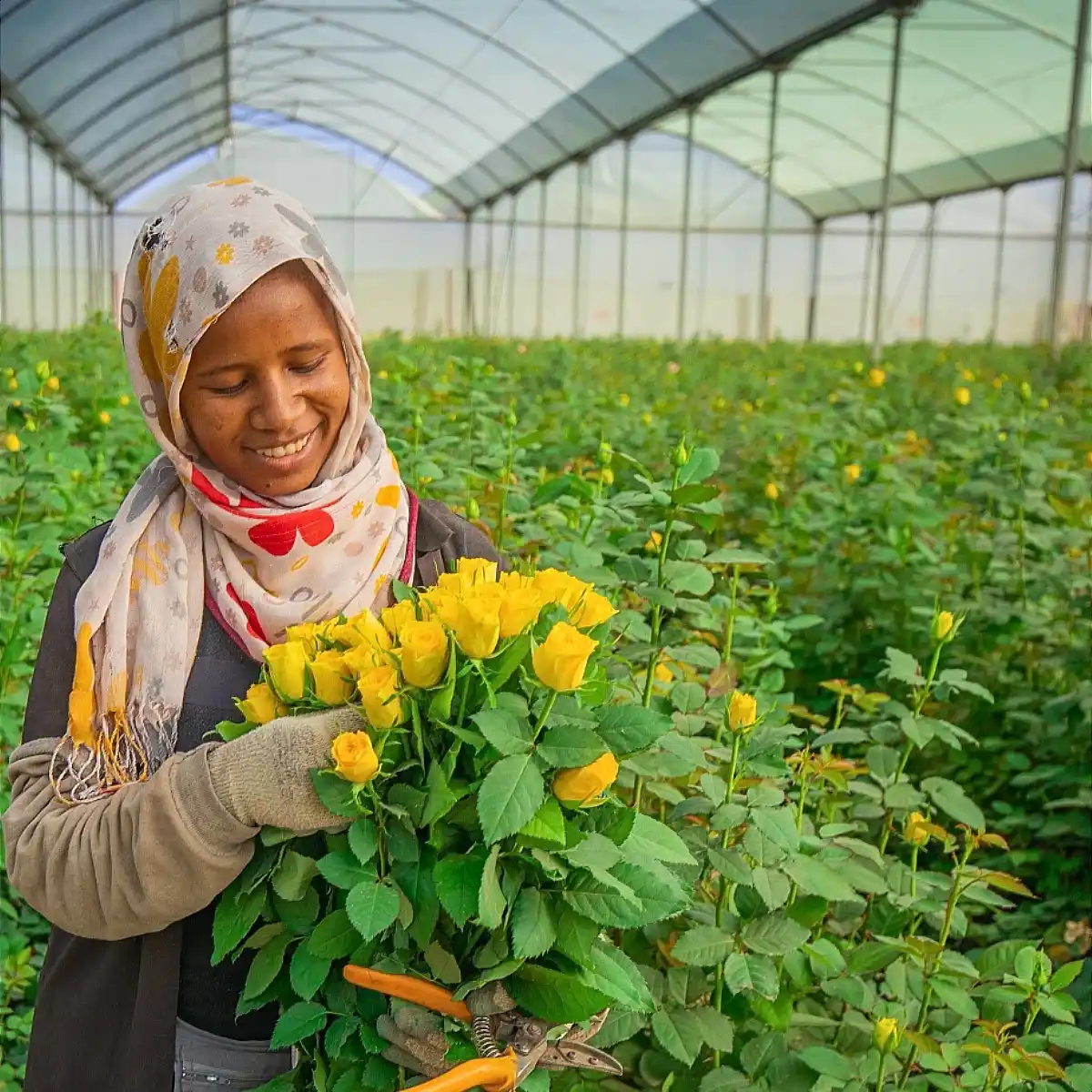 How the Ethiopian Horticulture Producer Exporters Association (EHPEA) Promotes Community Development Initiatives Around Ethiopian Flower Farming Clusters
