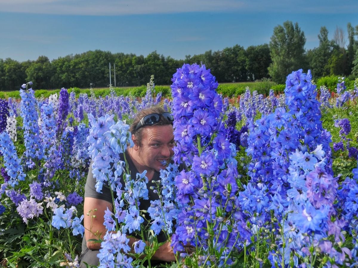 Stijn Simaeys Between the Delphiniums Stijn Simaeys Between the Delphiniums