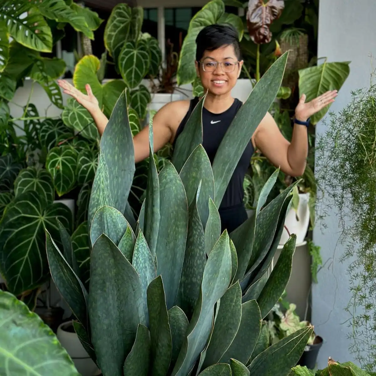 Imagen destacada: Amantes de las plantas y las flores