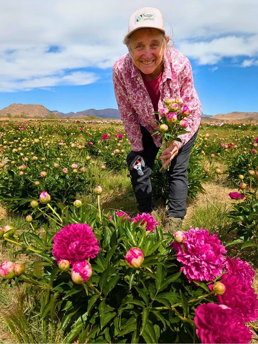 Sustainabloom, the initiative by the American Floral Endowment that helps the floral industry put sustainability research into practice, has released the free Sustainability Planning Template for Flower Growers.
