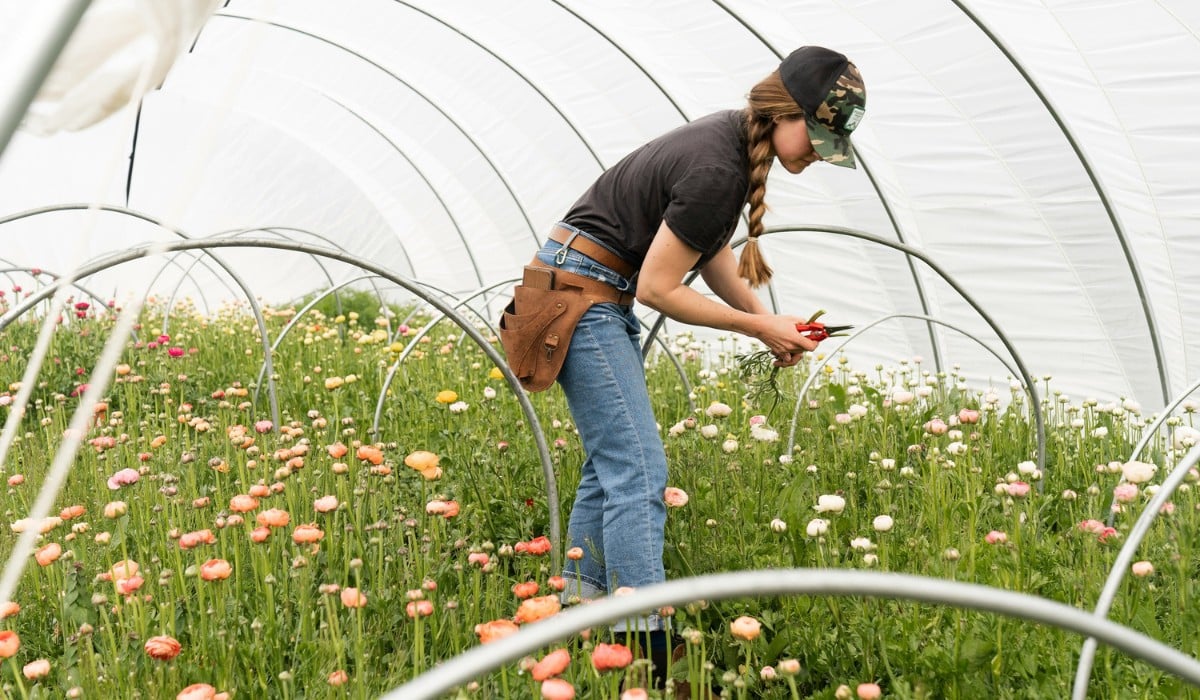 Sustainabloom, the initiative by the American Floral Endowment that helps the floral industry put sustainability research into practice, has released the free Sustainability Planning Template for Flower Growers.